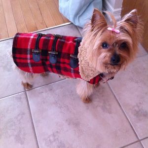 Meet your Posher, Daisy